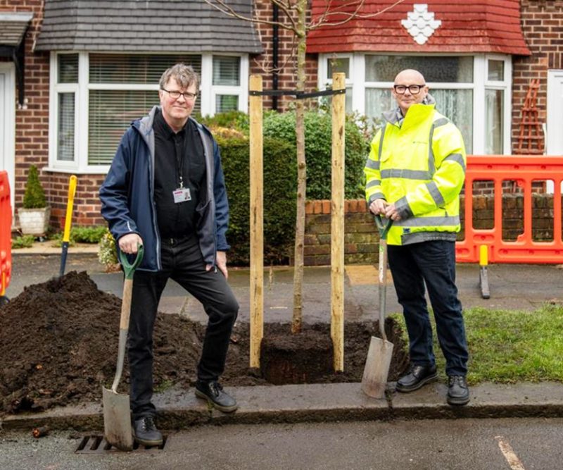 This Salford street has been lined with new trees thanks to funding, The Manc