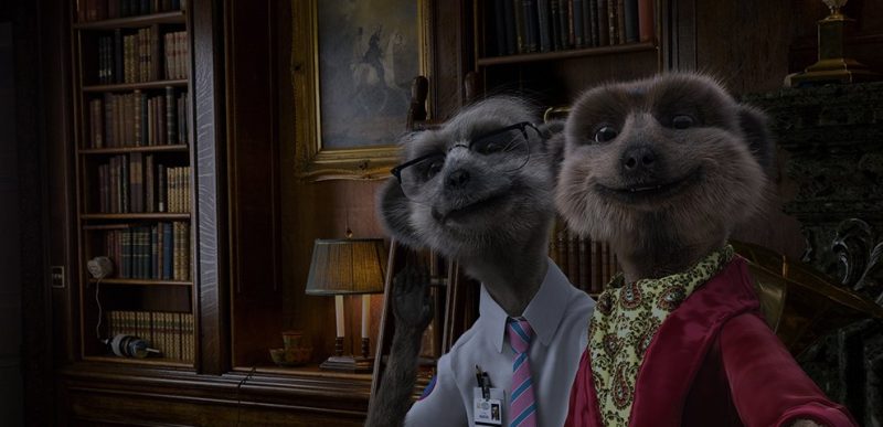 Compare the Market pulls its cartoon meerkats from TV news, stressing &#8216;they have no association with Russia&#8217;, The Manc