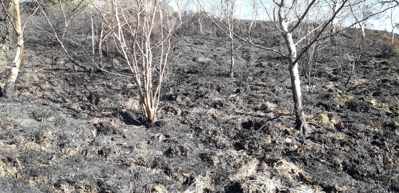 Dovestone will take ‘many years to recover’ after moorland fire this weekend, The Manc