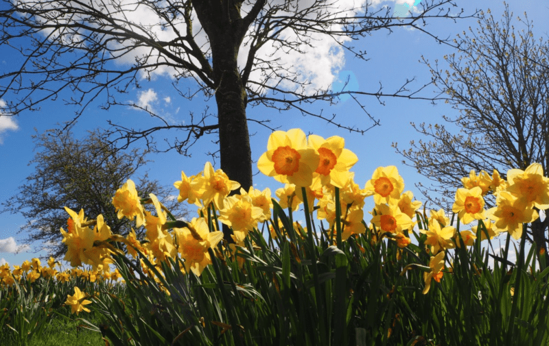 Greater Manchester to bask in spring sunshine and highs of 18°C this week, The Manc