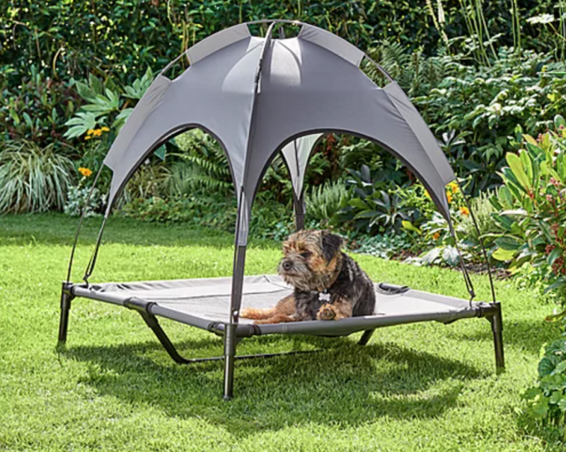 You can now get a dog bed gazebo from Asda ready for summer, The Manc