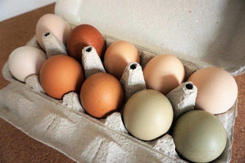 Free range eggs to disappear from UK supermarket shelves, The Manc