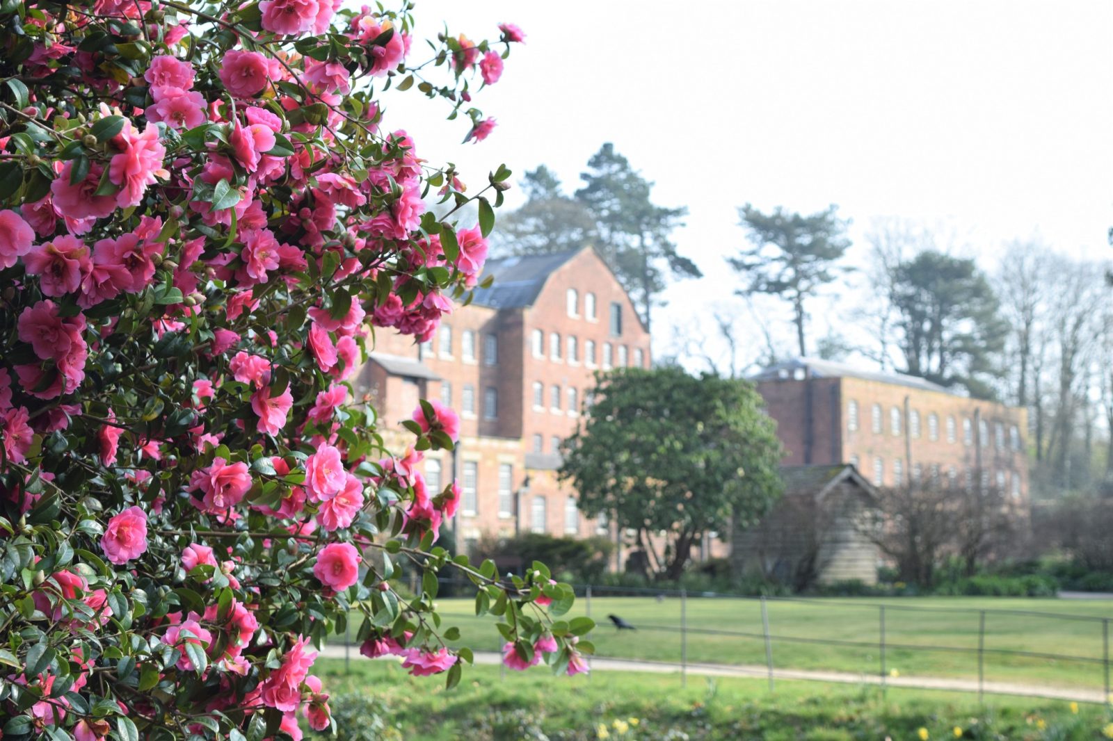 Quarry Bank in Cheshire is one of the prettiest spring walks near Manchester