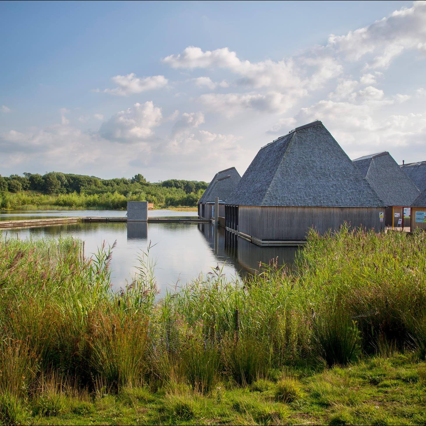 The Brockholes Nature Reserve just outside Greater Manchester makes for a great spring walk