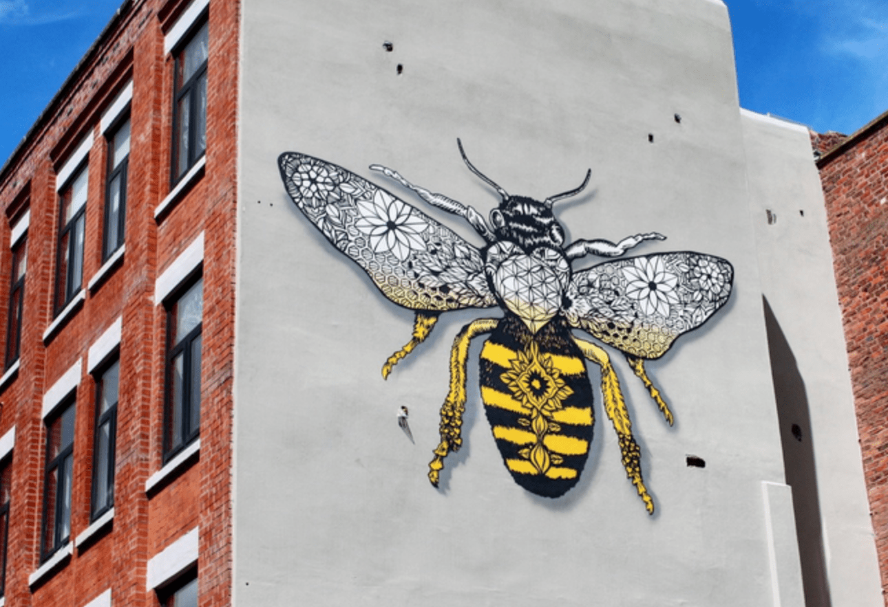 Manchester has been named the best city in the UK for bees