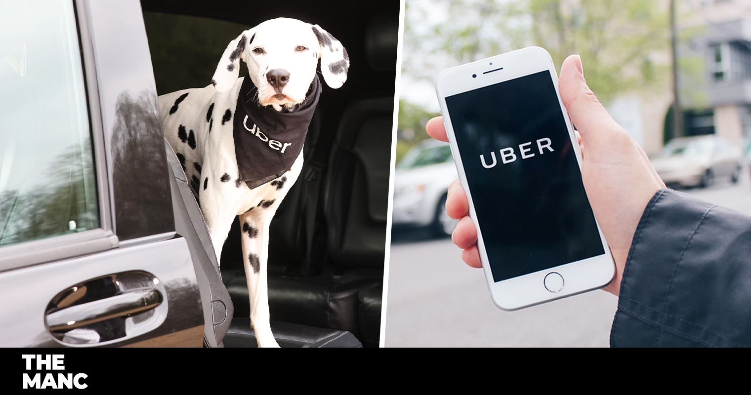 Pets sales in uber