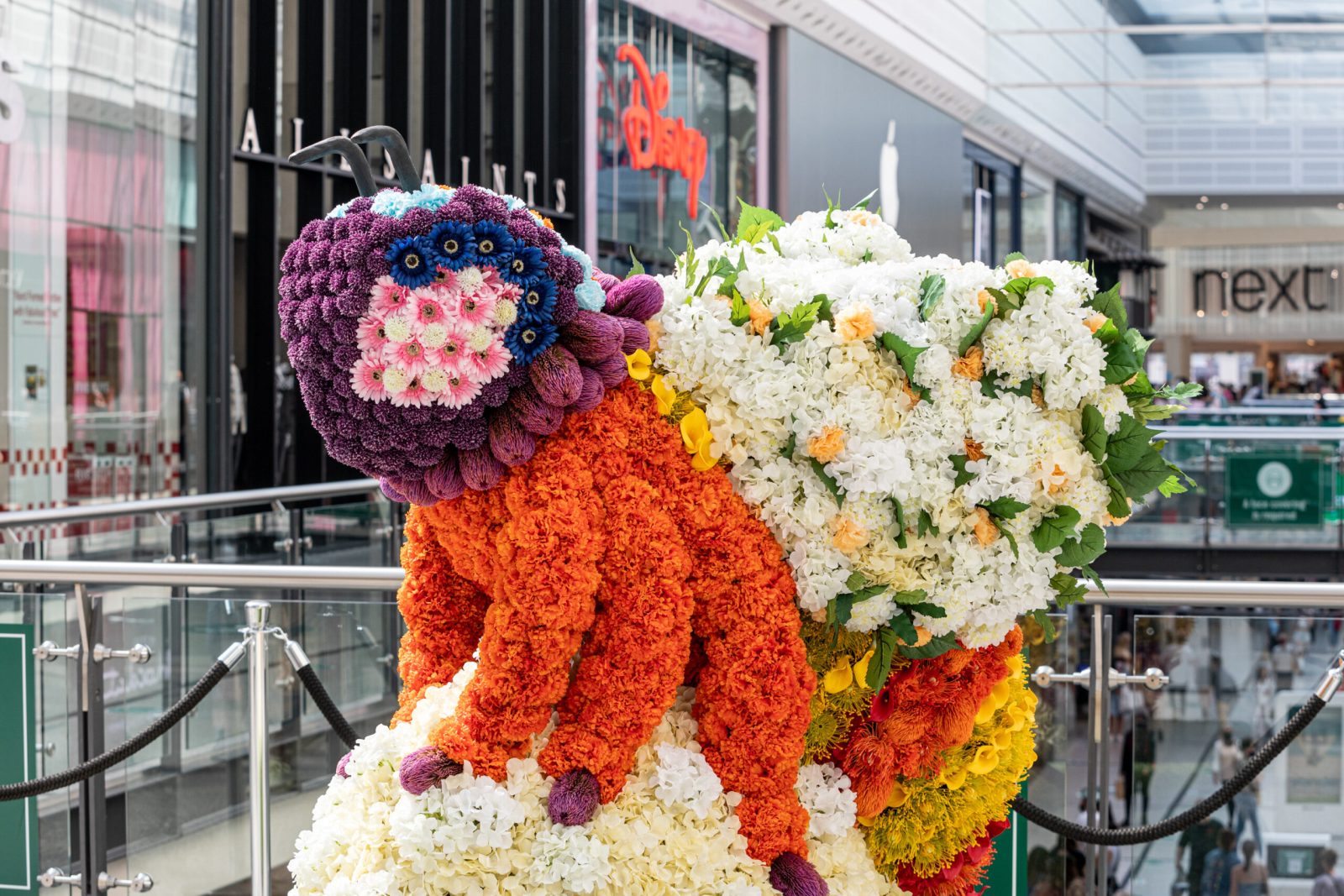 Incredible flower displays will take over Manchester on a Jubilee Trail next month, The Manc