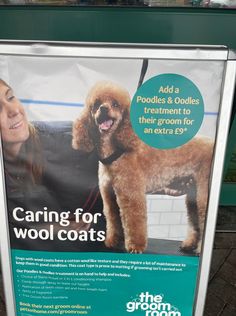 Pets at Home mocked for poster showing groomer &#8216;cupping dog&#8217;s genitals&#8217;, The Manc
