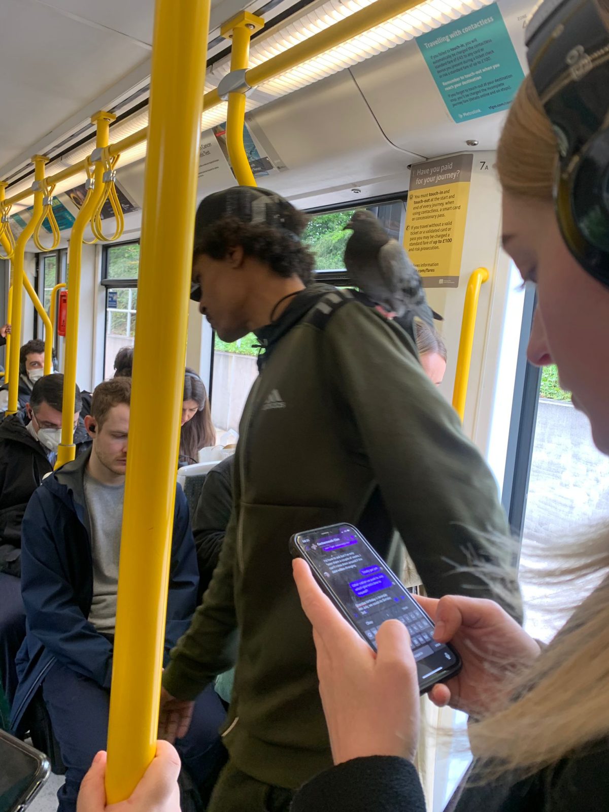Mystery man spotted riding the tram in Manchester with a PIGEON on his shoulder, The Manc