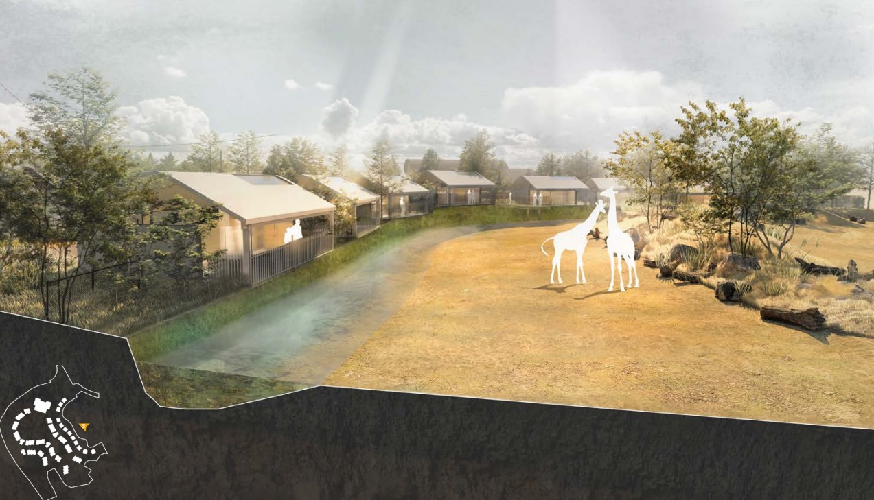Chester Zoo unveils plans for overnight safari lodges where you can wake up to giraffes, The Manc