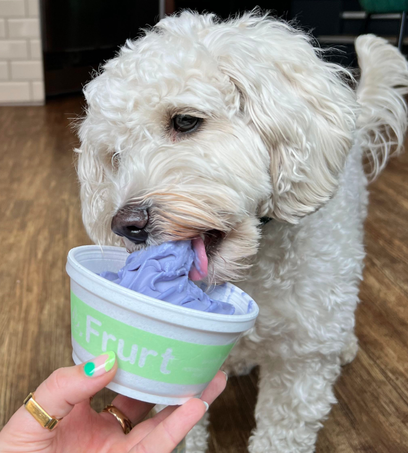 These Manchester dessert parlours are serving dog-friendly frozen treats all summer, The Manc