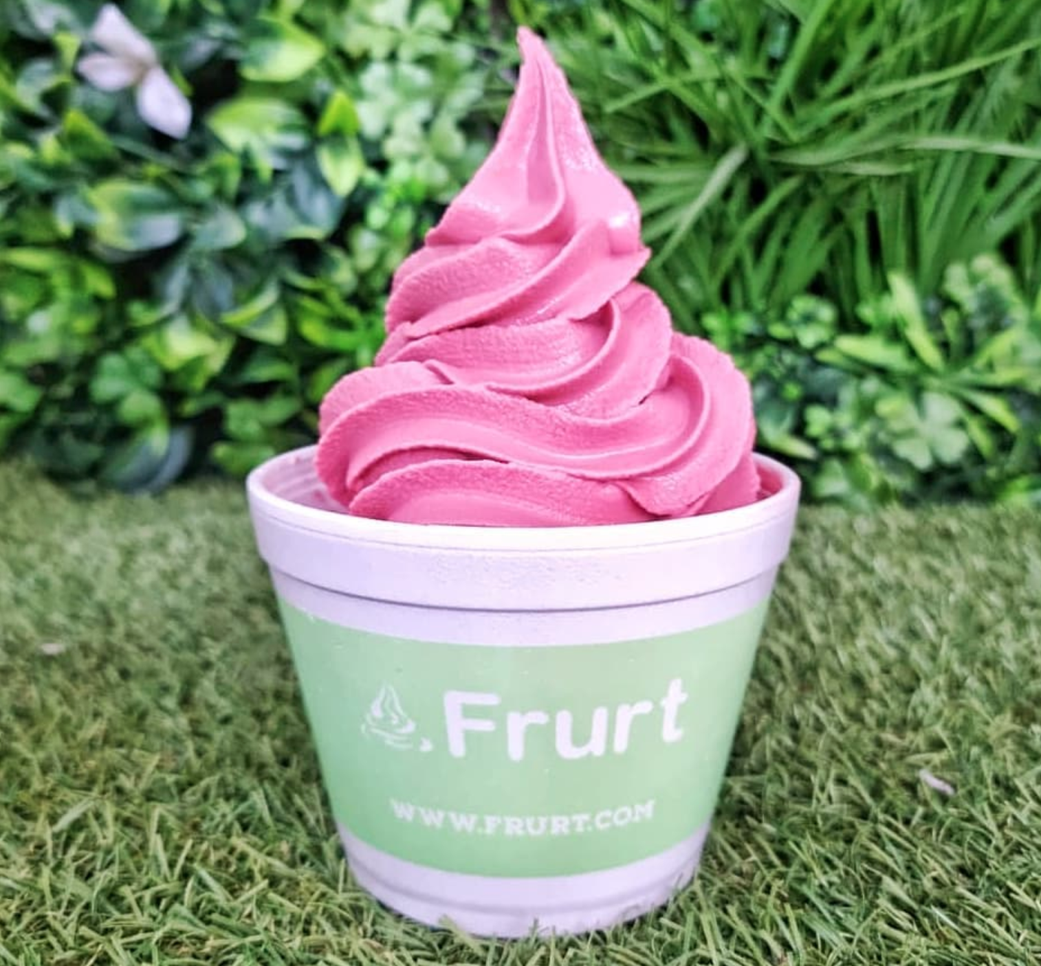These Manchester dessert parlours are serving dog-friendly frozen treats all summer, The Manc