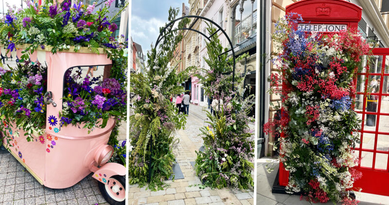 In pictures &#8211; city centre overtaken by blooms for Manchester Flower Show, The Manc