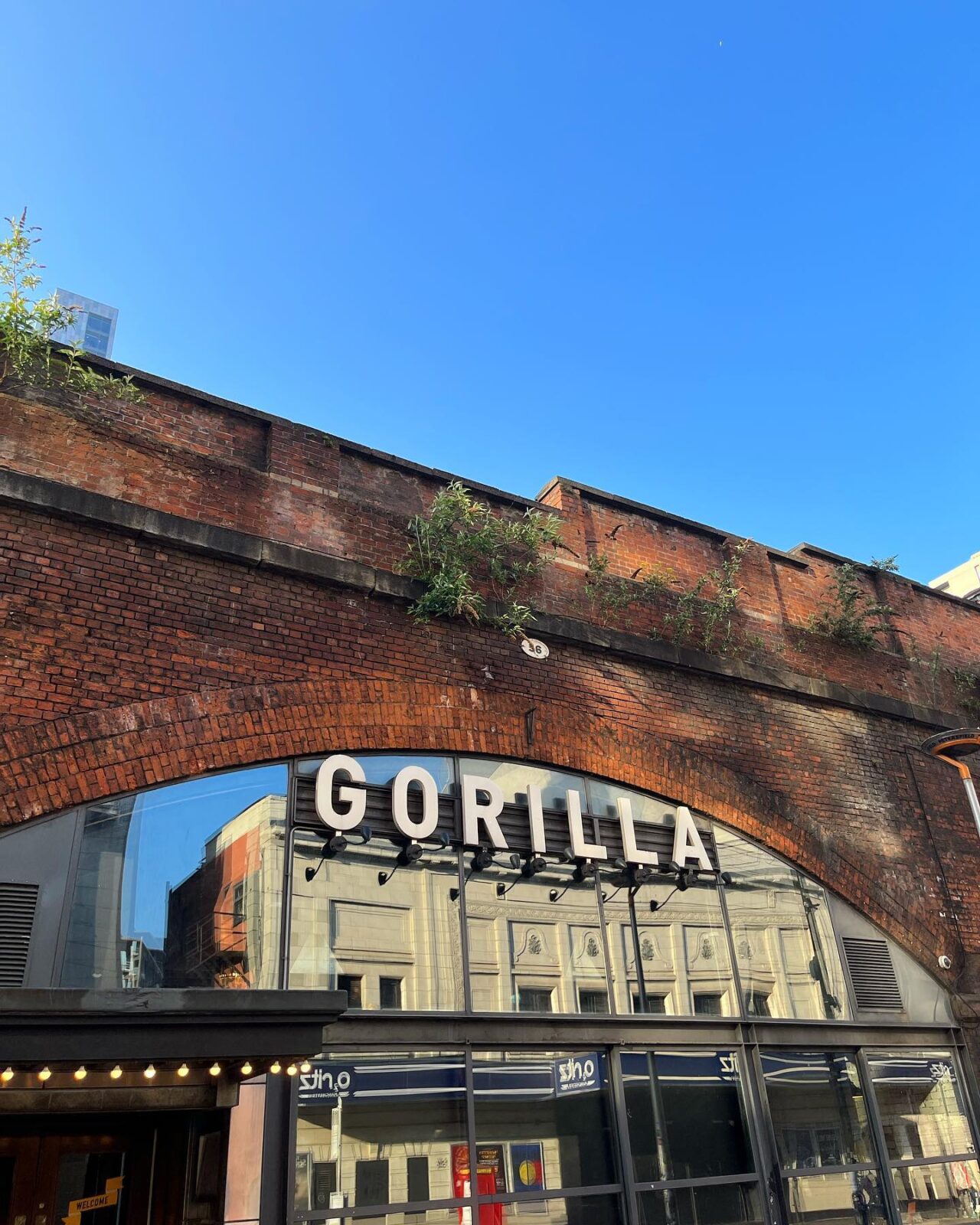 Legendary gig venue Gorilla is closing for unavoidable work to