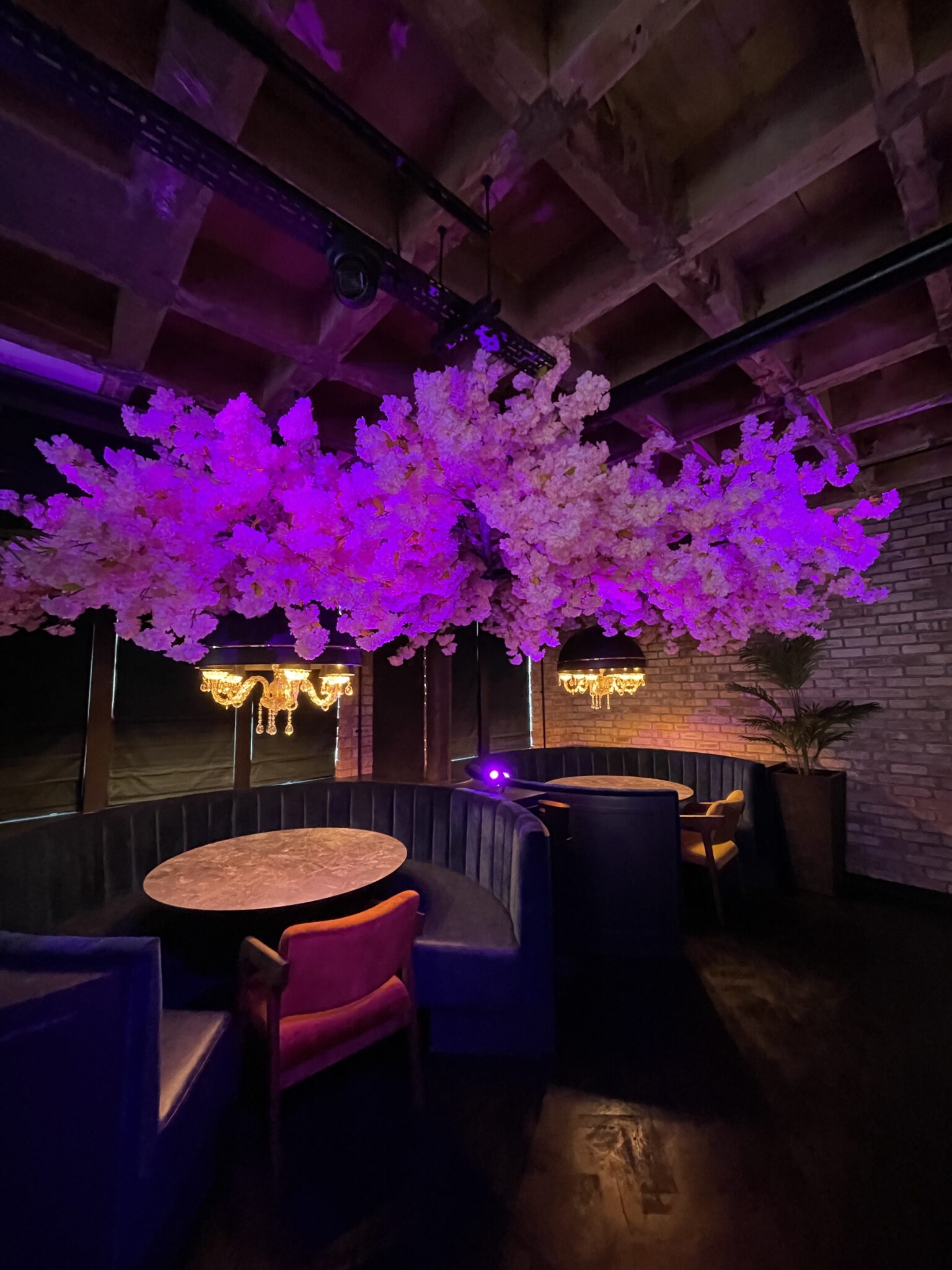 Inside Manchester's new allyoucaneat sushi and steak restaurant