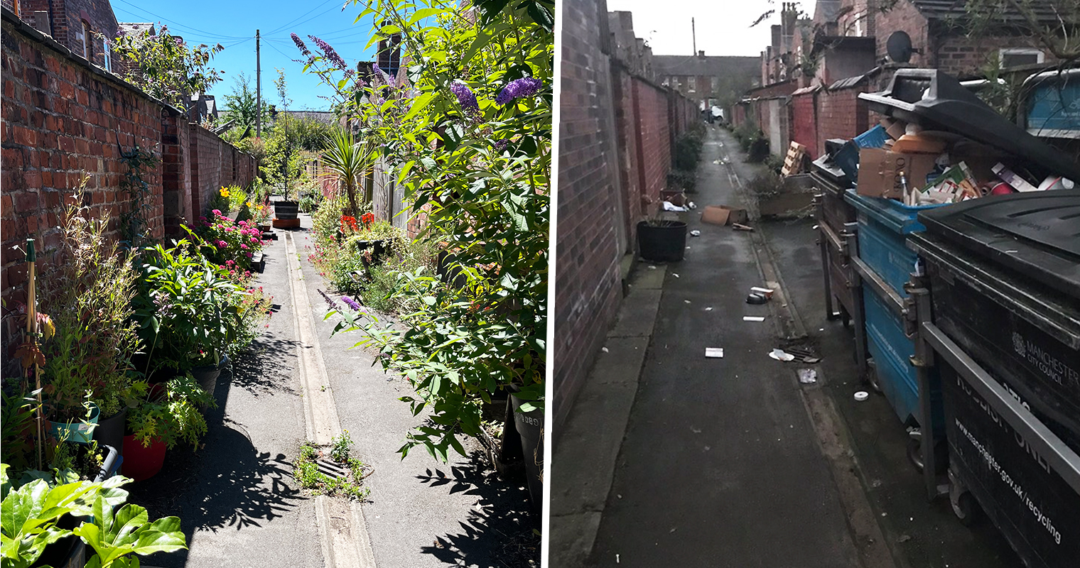 Neglected Moss Side ginnel transformed into leafy art gallery