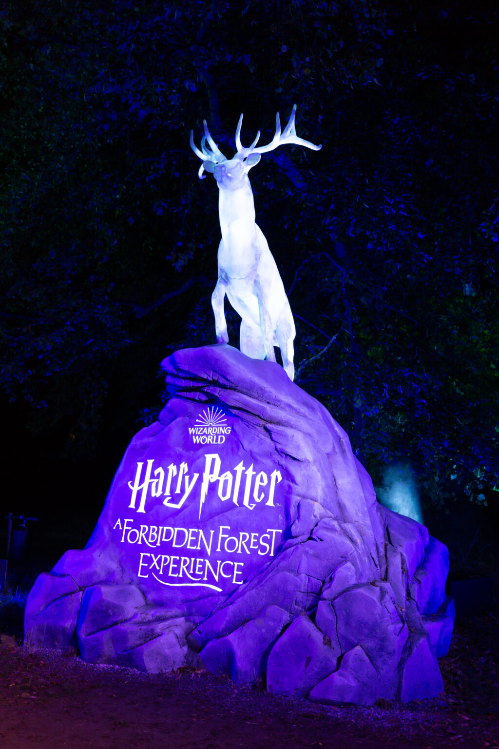 Hugely popular Harry Potter 