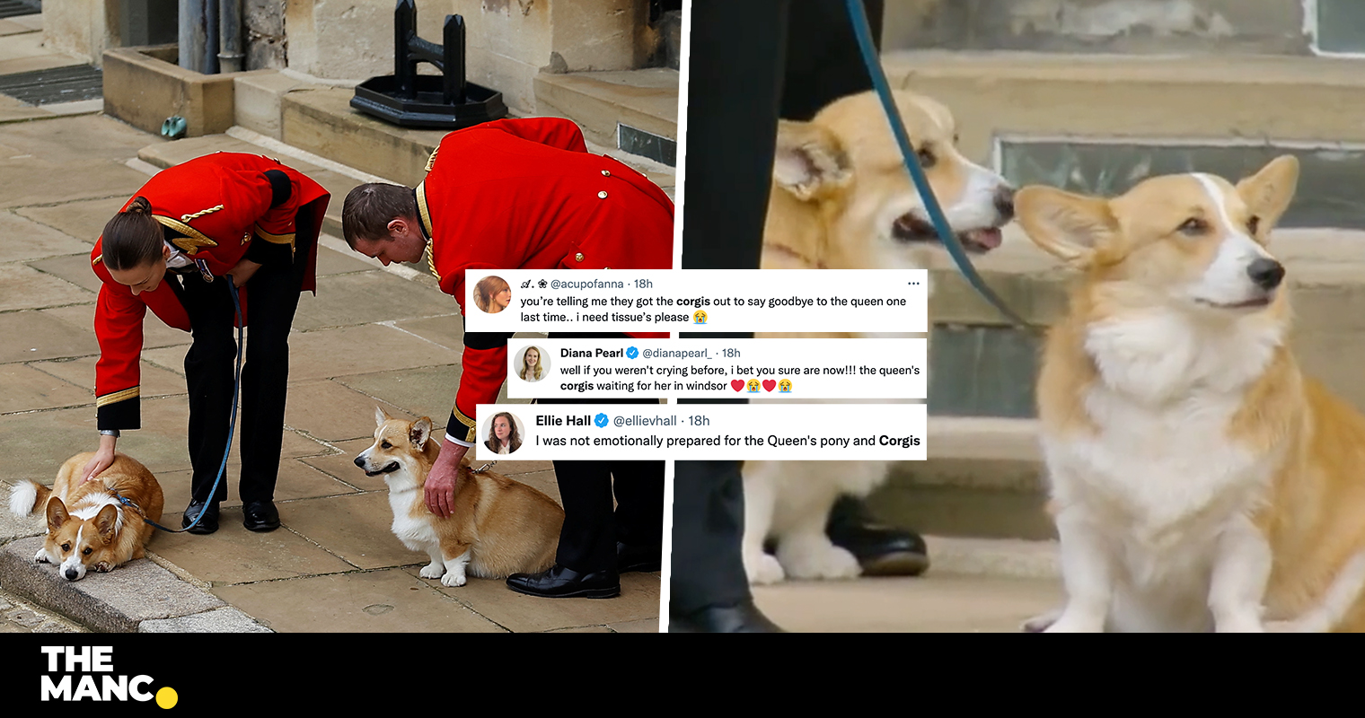 Viewers 'not emotionally prepared' as Queen's beloved corgis watched ...