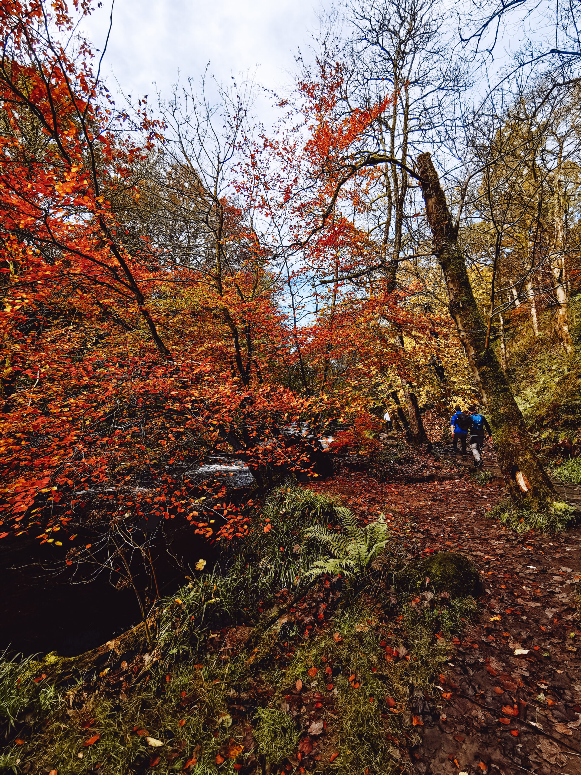 A walk around Hardcastle Crags in Autumn. Credit: The Manc Group