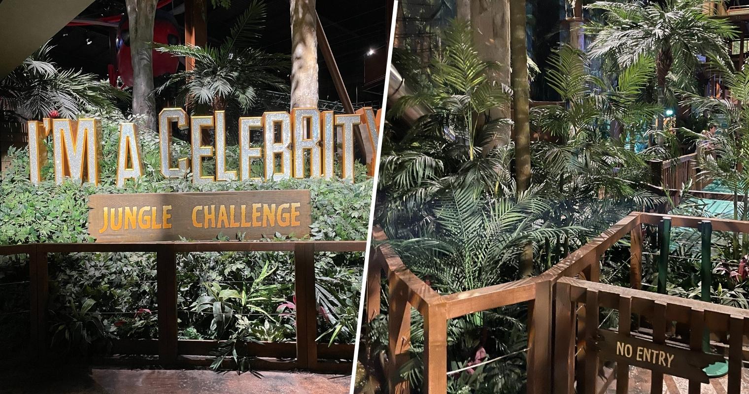 ITV shuts down I m A Celebrity Jungle Challenge experience