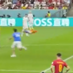 Rainbow flag pitch invader Qatar World Cup