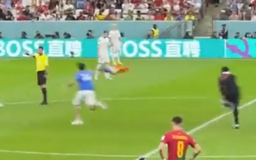 Rainbow flag pitch invader Qatar World Cup