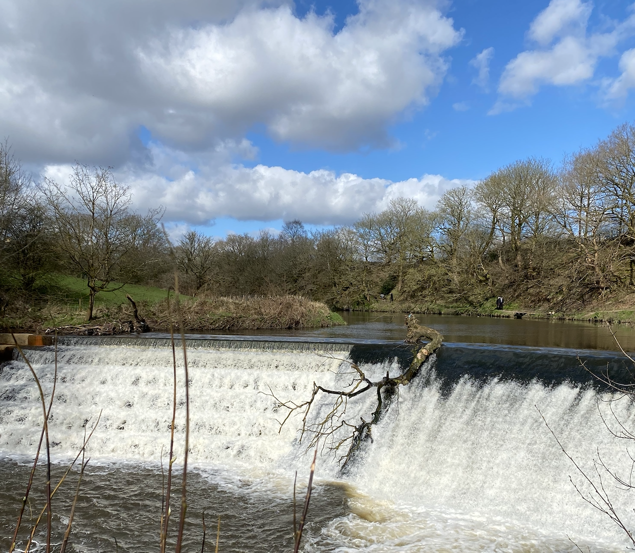 Nice parks in Bury, Burrs Country Park