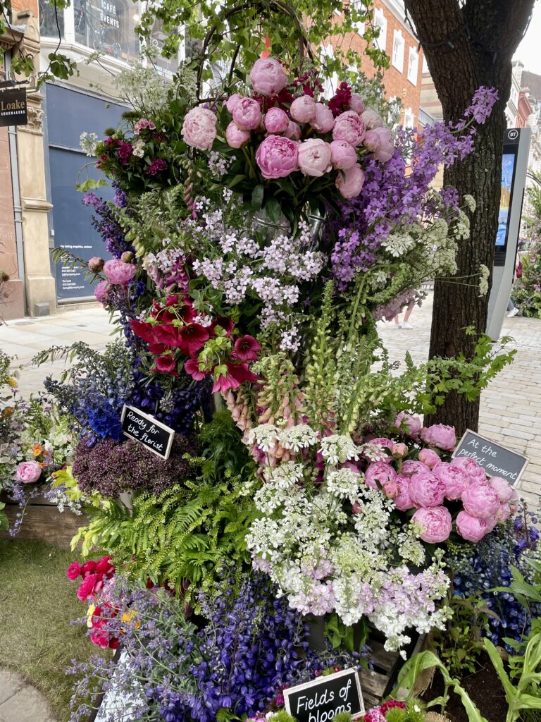 Manchester Flower Festival to fill city centre with fresh blooms once ...