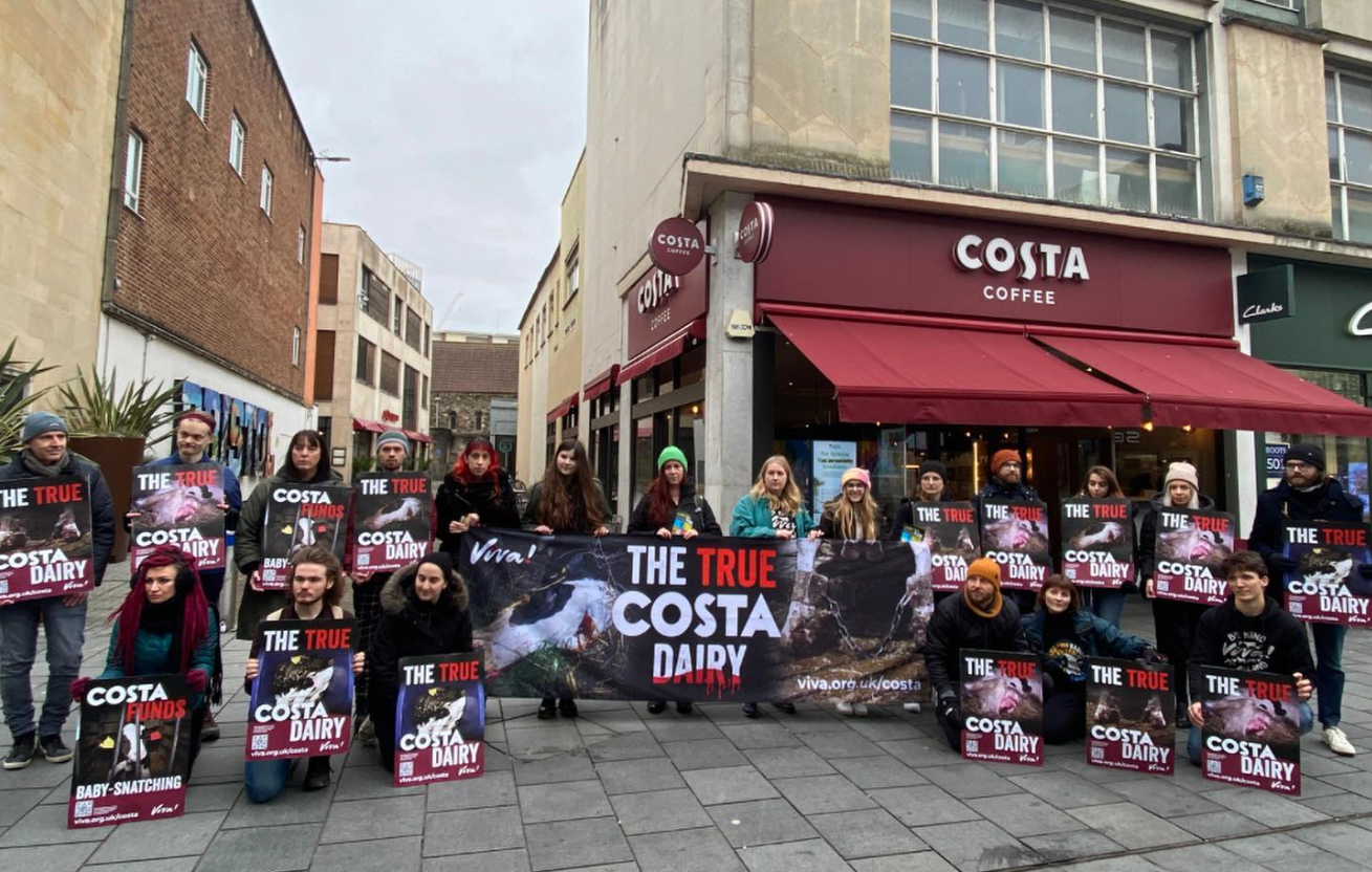 Vegans to protest against the dairy industry outside Costa in Manchester  this weekend