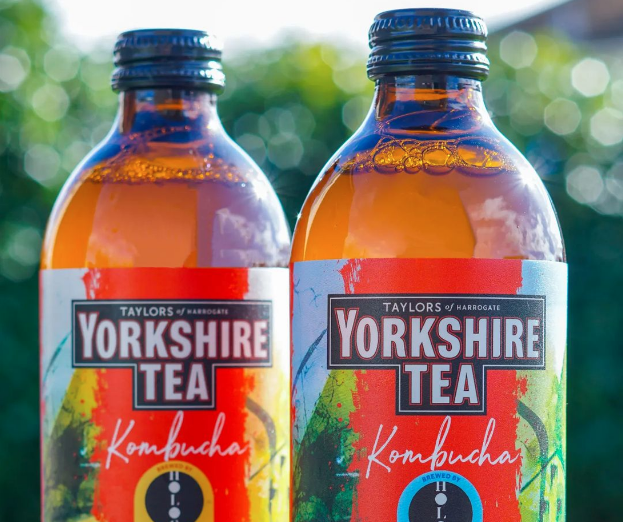 Yorkshire Tea is launching its own kombucha in two flavours - but