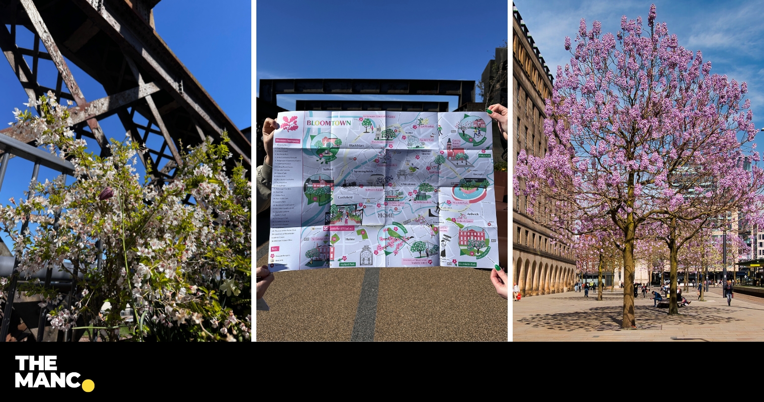 The beautiful spring blossom walking trail around Manchester