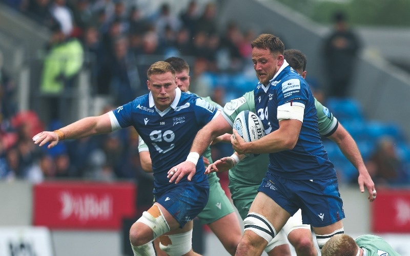 Match authentic shirts arrive in club shop - Newcastle Falcons