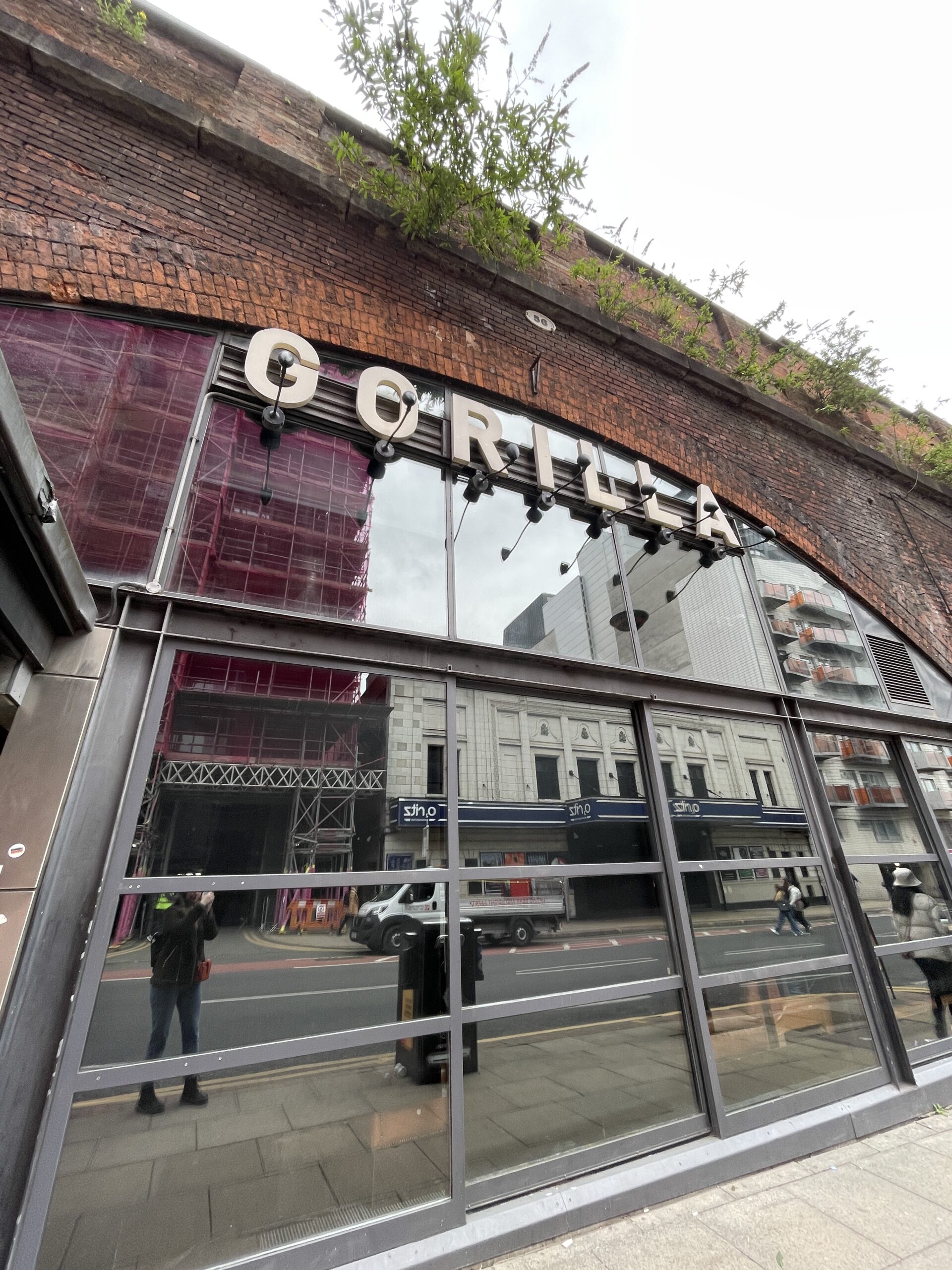 Gorilla FINALLY confirms reopening plans after closing for months