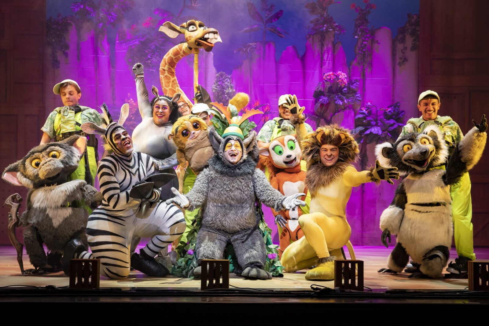 Madagascar the Musical