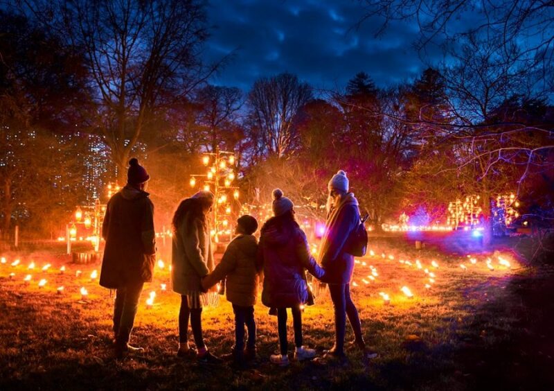 Chester Zoo festive light trail Christmas 2023