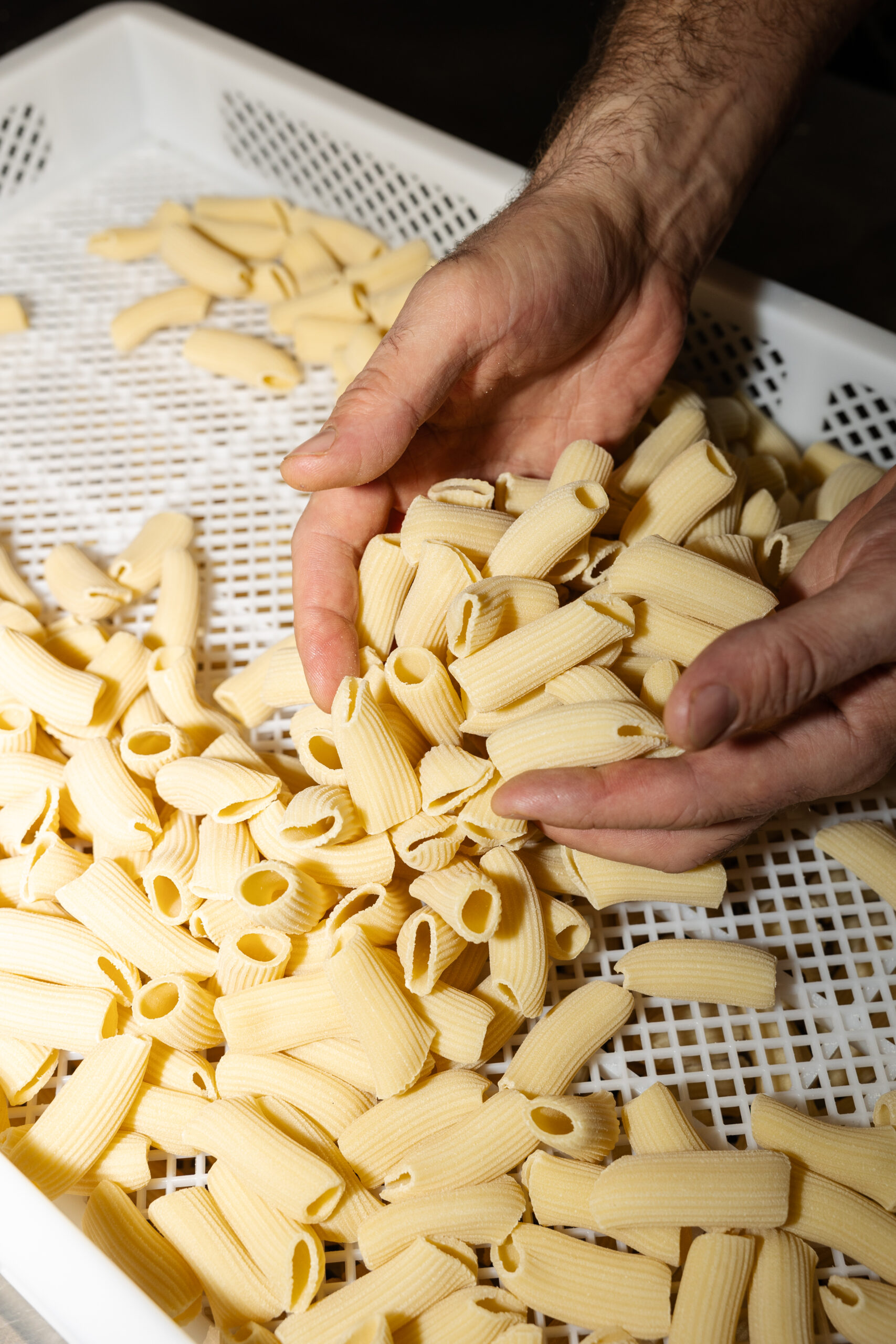 Sud's new venture in Manchester will be called Rigatoni's