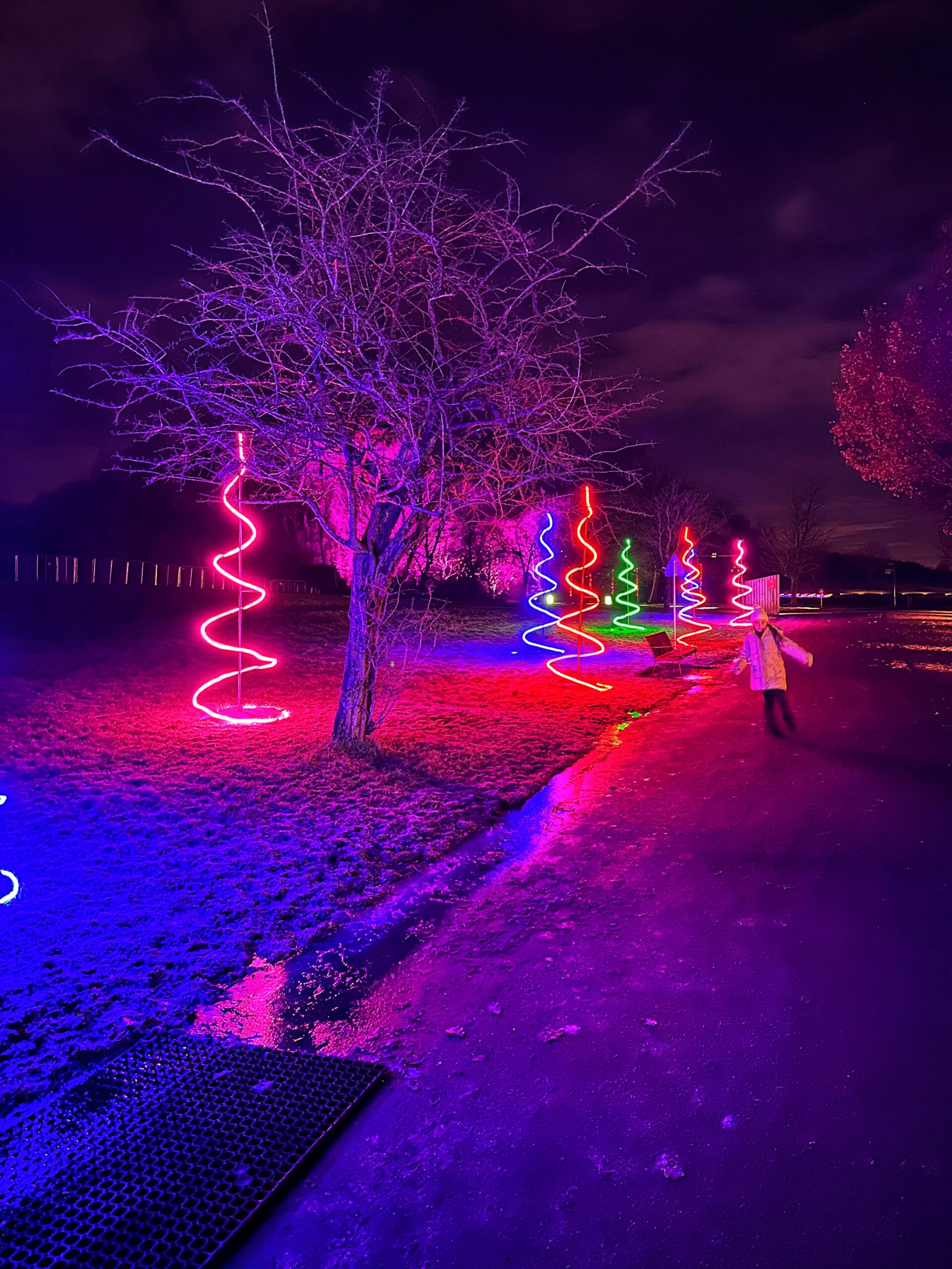 Christmas at Heaton Park light trail in Manchester. Credit: The Manc Group