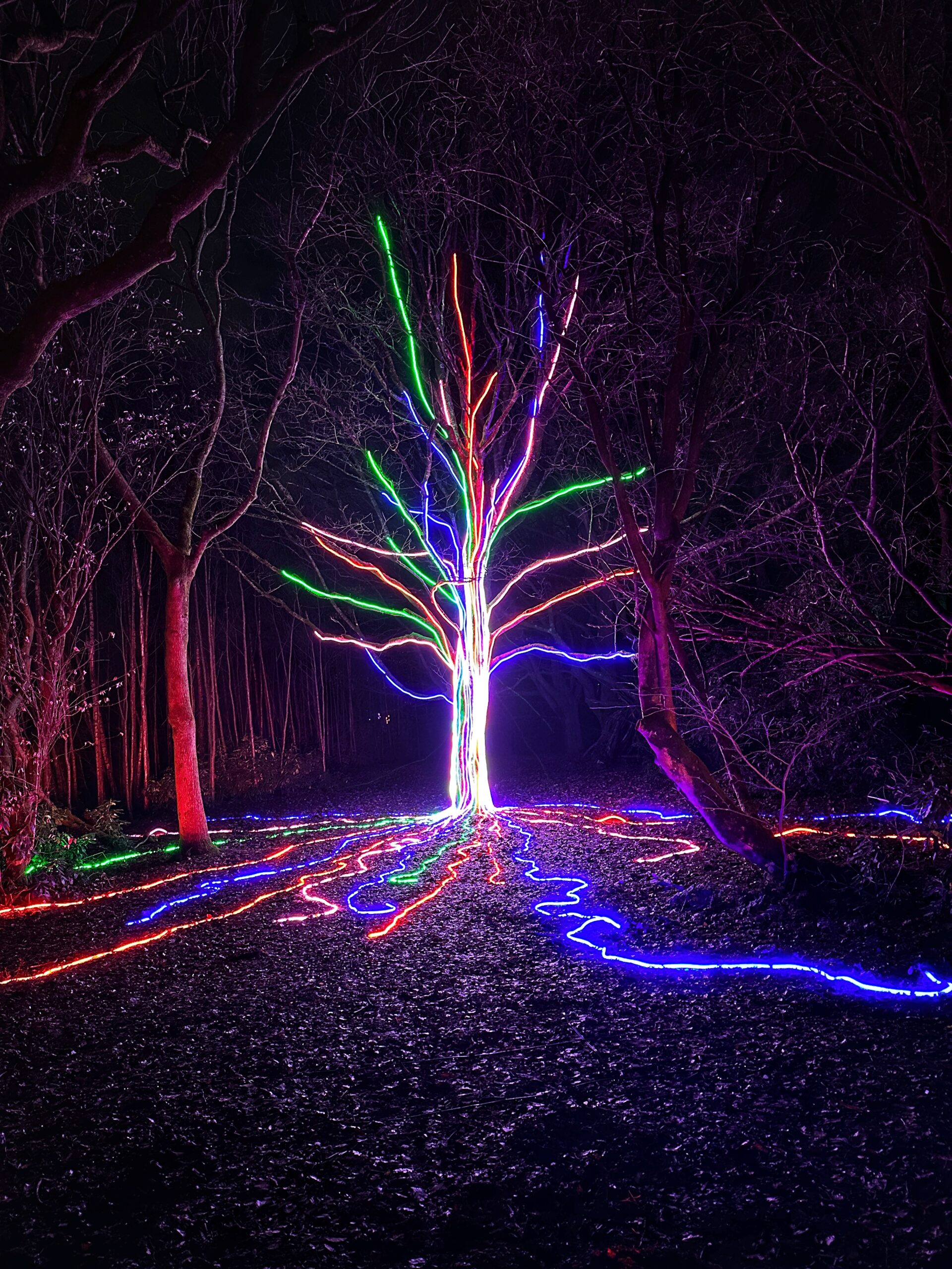 Christmas at Heaton Park light trail in Manchester. Credit: The Manc Group