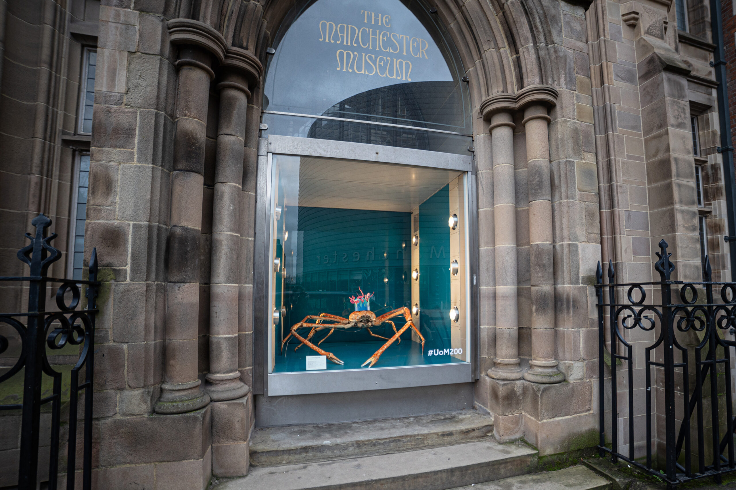 Even the creatures at Manchester Museum will be getting in the party spirit with their own custom hats. Credit: Manchester Museum