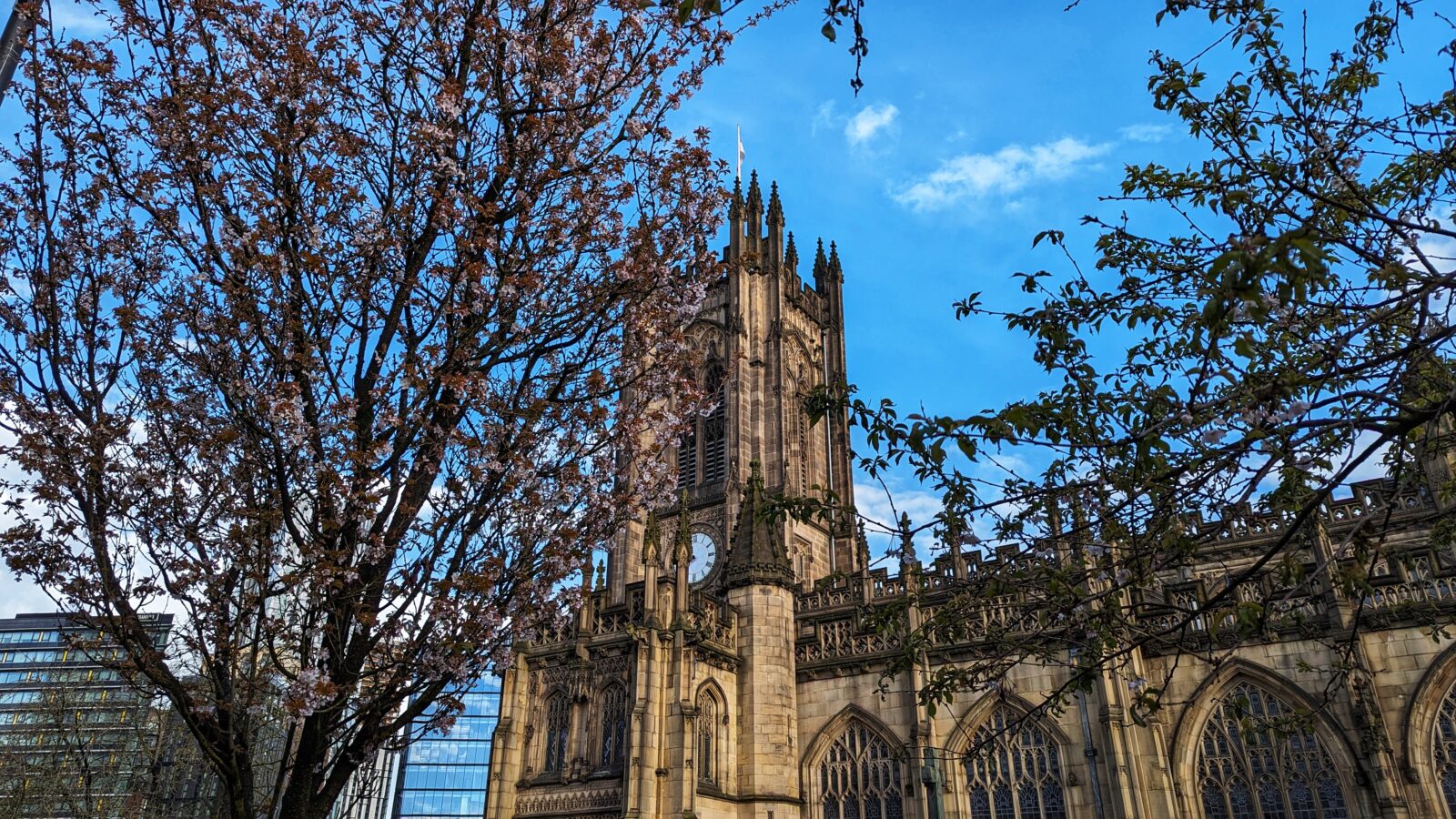The Bloomtown Map is a blossom trail walk around Manchester. Credit: The Manc Group
