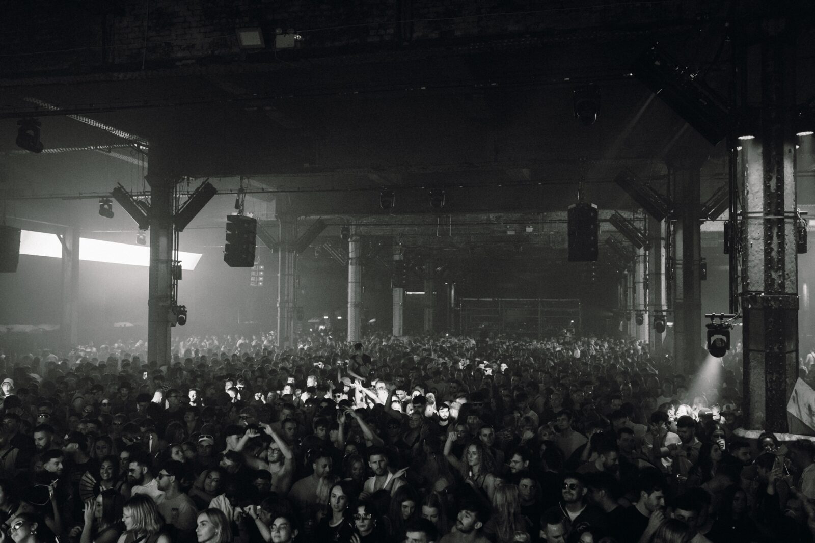 whp lineup 2024