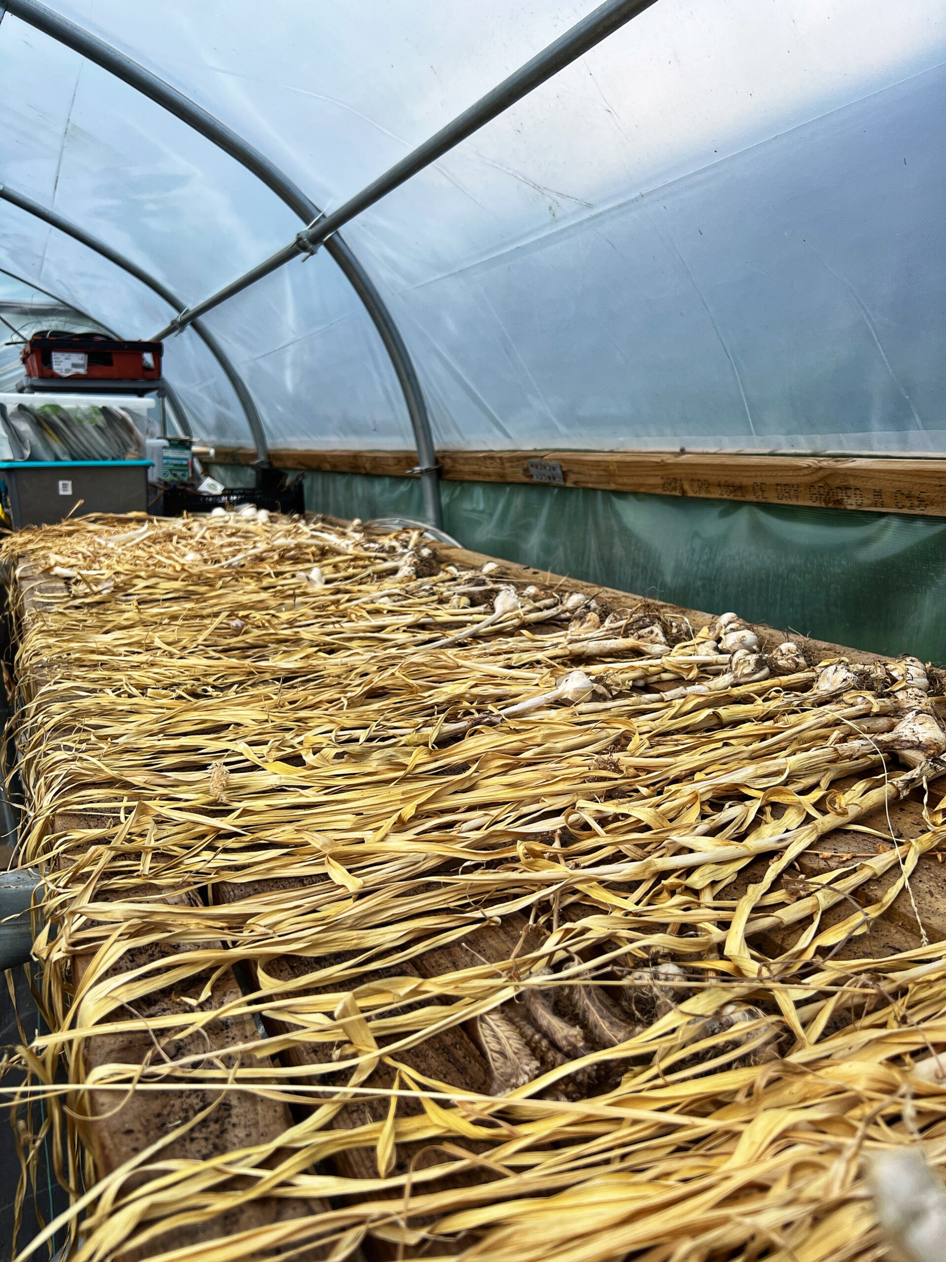 Exploring Farlam Hall’s kitchen garden. Credit: The Manc Group