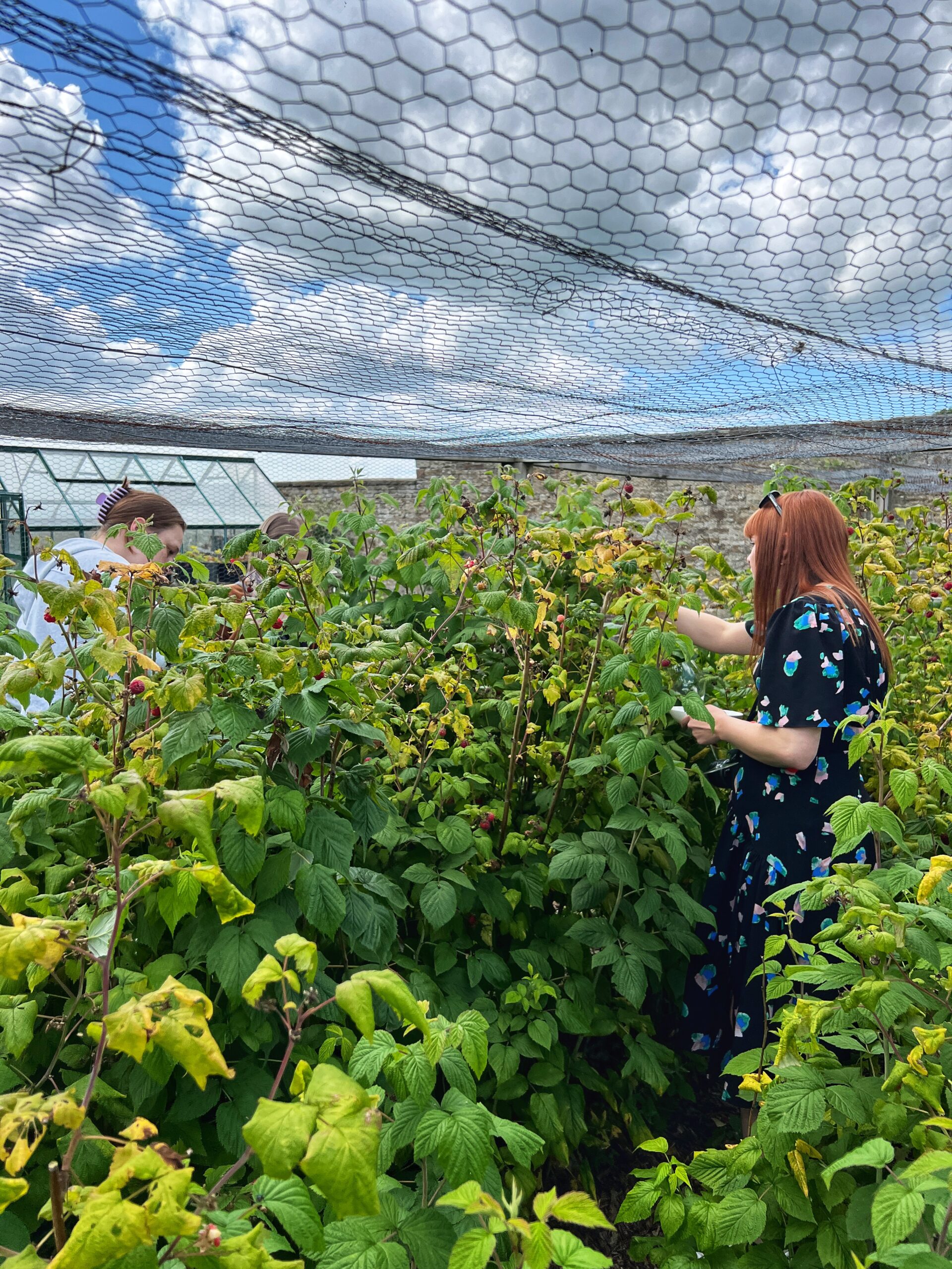 Exploring Farlam Hall’s kitchen garden. Credit: The Manc Group