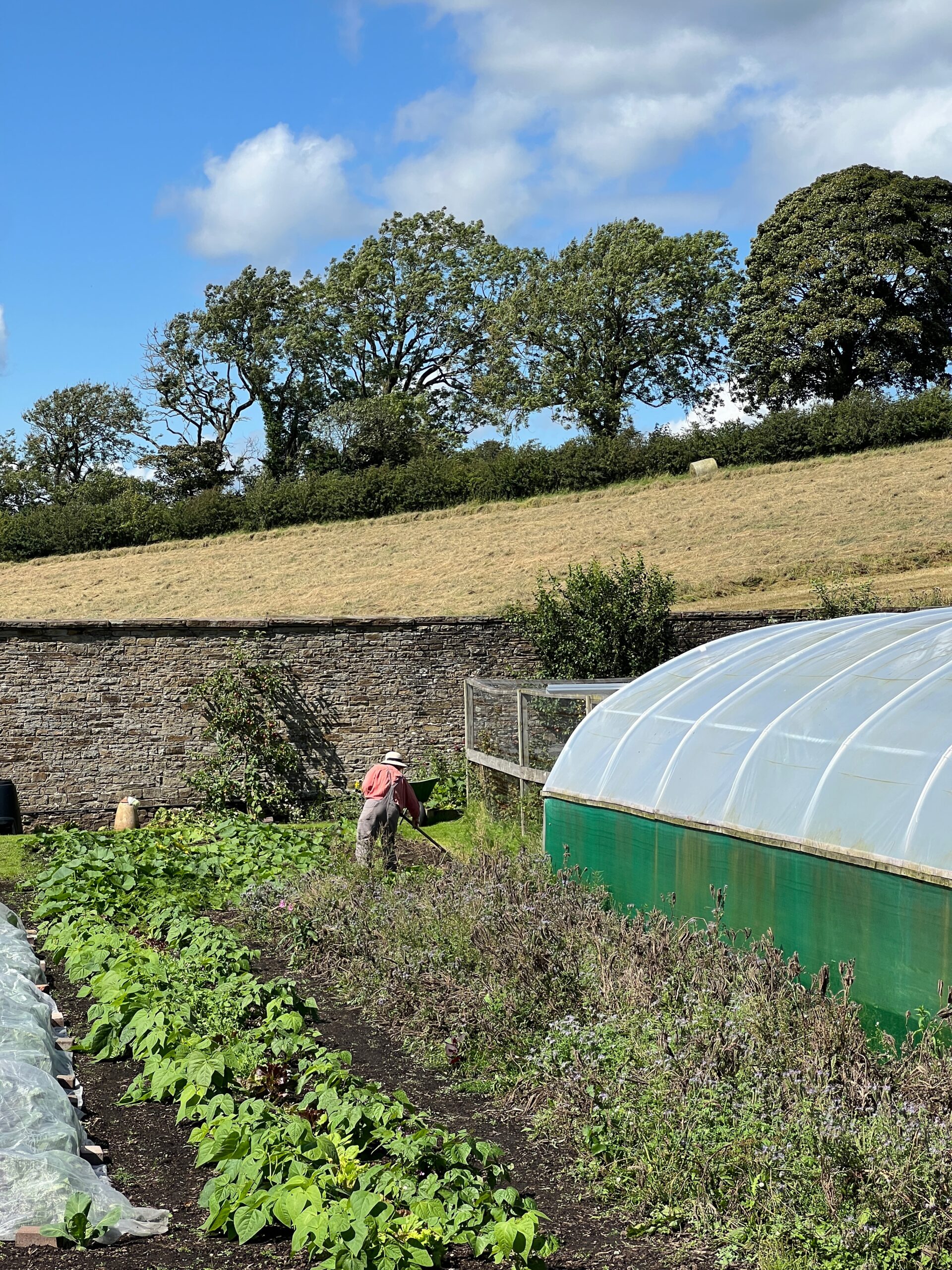 Farlam Hall’s kitchen garden, featuring Penny the gardener. Credit: The Manc Group