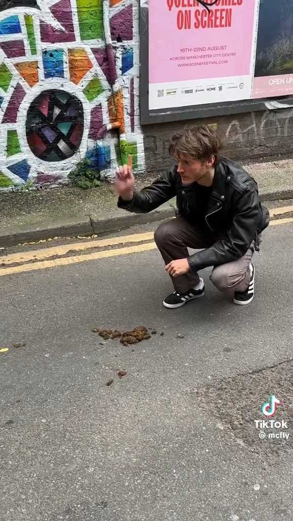 Using poop as a navigational tool around Manchester, apparently. Credit: Instagram, @mcflymusic