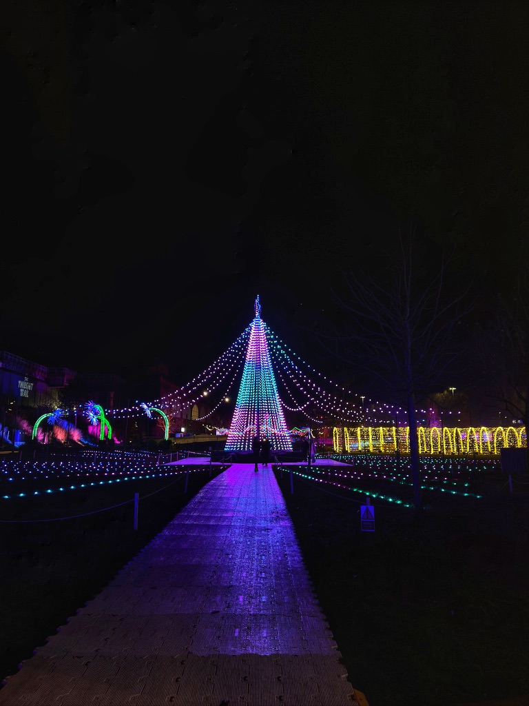 Christmas tree in Manchester