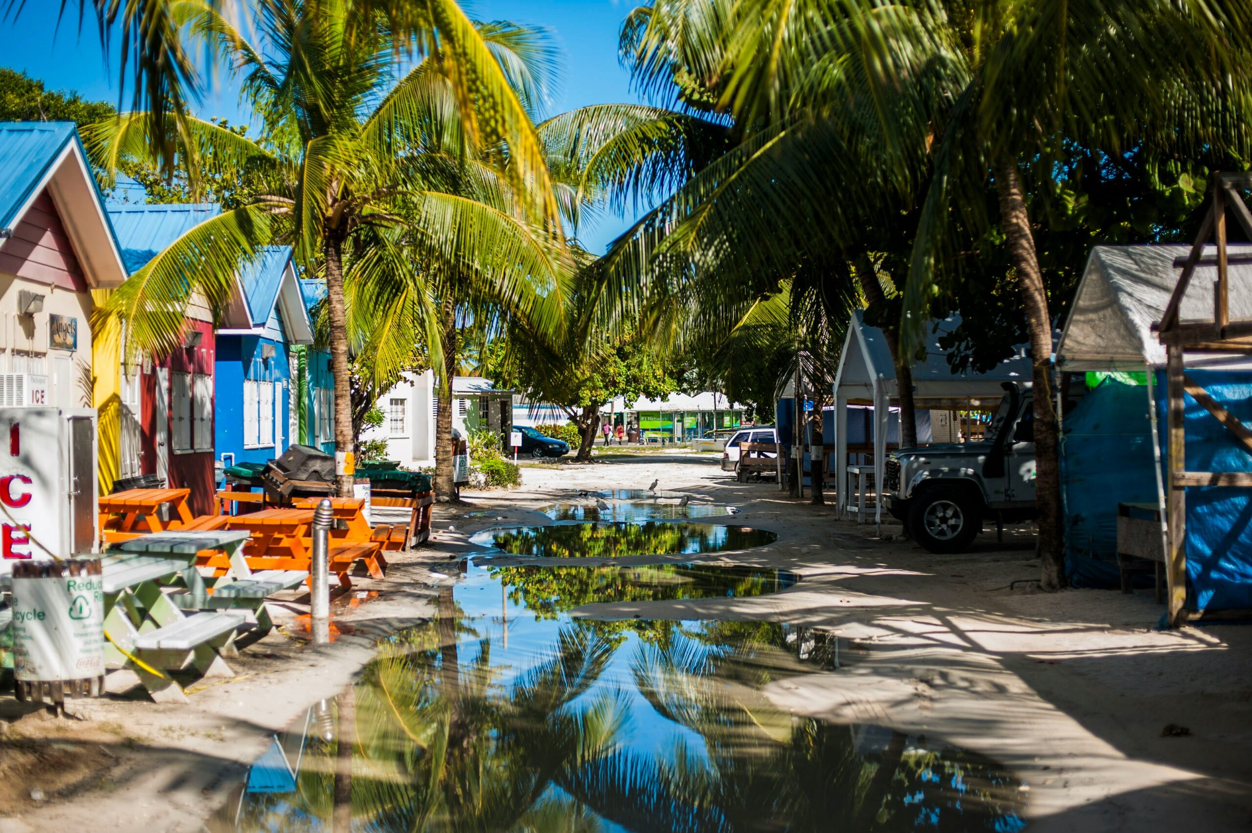 You can fly direct from Manchester to Barbados with Aer Lingus. Credit: Unsplash, Tom Jur