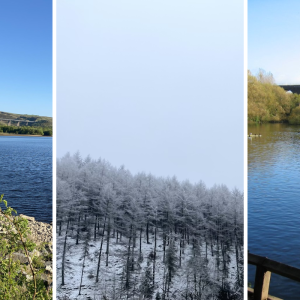 Easy Boxing Day walks around Greater Manchester