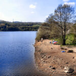 Appeal launched after dead dog found floating in Jumbles Reservoir