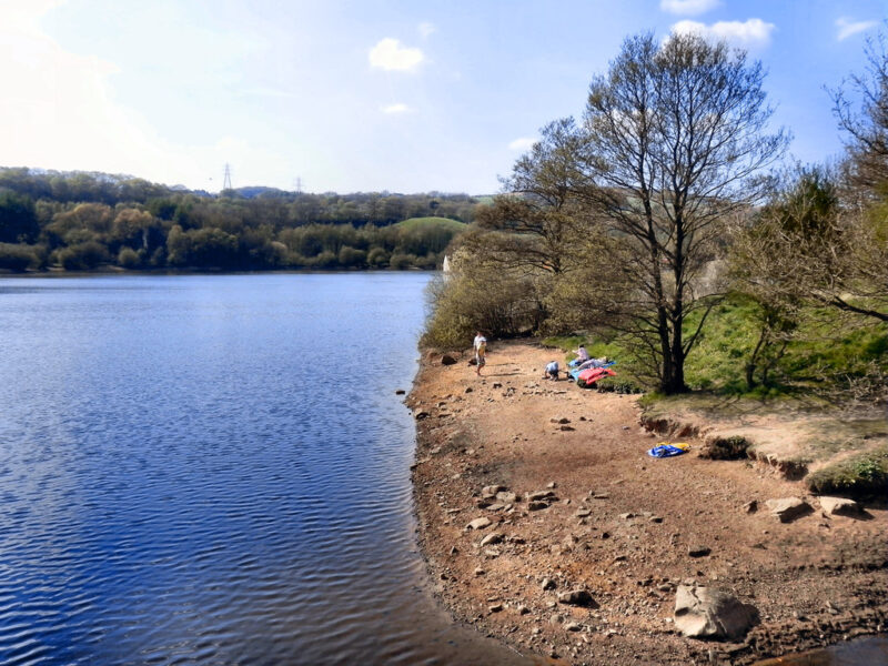 Appeal launched after dead dog found floating in Jumbles Reservoir